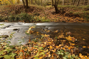 Río en Otoño, España