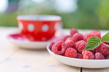 Berries ripe raspberries on a saucer and a red Cup.