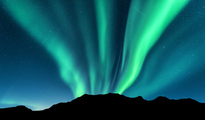 Aurora and silhouette of mountains. Lofoten islands, Norway. Aurora borealis. Green northern...