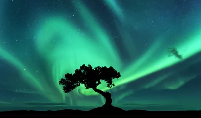 Fotobehang Aurora borealis en silhouet van een boom op de heuvel. Aurora. Groen noorderlicht. Hemel met sterren en poollichten. Nachtlandschap met heldere aurora, boom, donkere lucht. Natuur achtergrond. Concept © den-belitsky