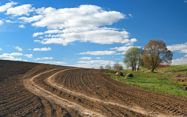 Plowed field and a dirt road in may, the European rural landscape.