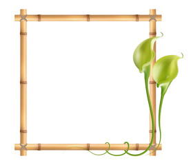 Realistic bamboo frame with green-yellow calla lily flower.
