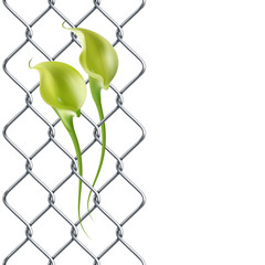 Rabitz fence with realistic green-yellow calla lily as left border, pattern.
