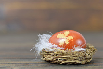 Easter nest with Easter egg colored with onion skins