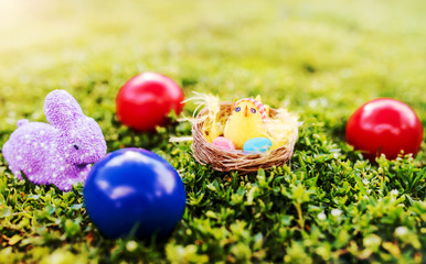 Easter. Colorful Easter eggs in a grass