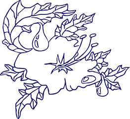 flower fantasy