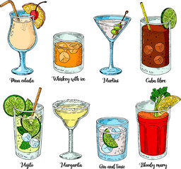 Alcoholic drinks set. vector illustration. Margarita, whiskey, tequila. Mojito, bloody mary and cuba libre.