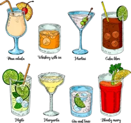 Foto op Plexiglas Alcoholic drinks set. vector illustration. Margarita, whiskey, tequila. Mojito, bloody mary and cuba libre. © vivali