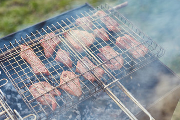 Barbecue in the forest.shashlik at nature. Process of cooking meat on barbecue, closeup.
