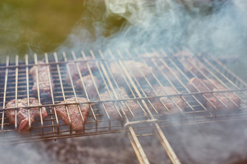 Barbecue in the forest.shashlik at nature. Process of cooking meat on barbecue, closeup.
