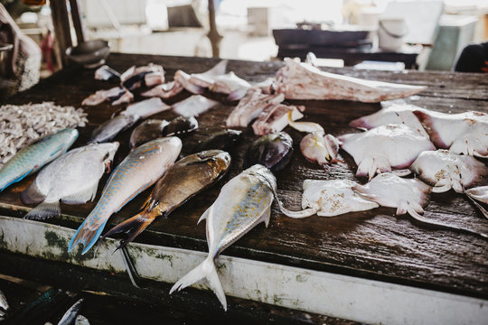 Sri Lankan Fish Market