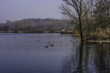 Lago Papere in compagnia