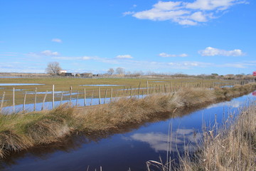 Réserve naturelle de la Camargue Gardoise, France