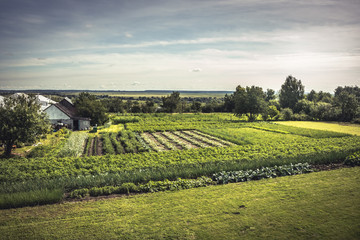 Agricultural farm countryside landscape and cultivated kitchen garden on farmer's vegetable garden summer scenery