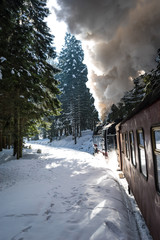 Der Harz im Winter