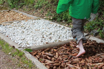 Fototapeta premium perorso kneipp