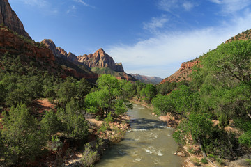 Fleuve Virgin dans le parc national de Zion