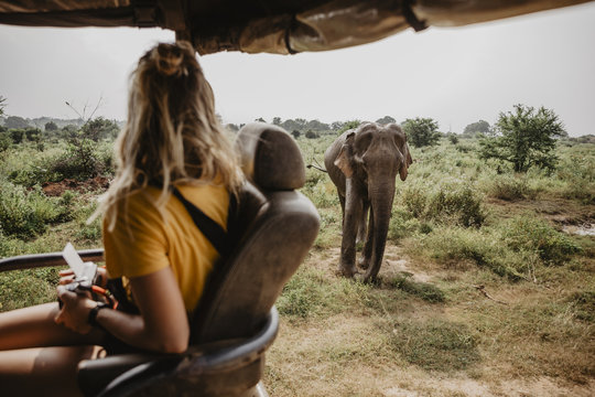 Sri Lankan Safari