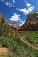 Le fleuve Virgin dans le canyon du parc national de Zion