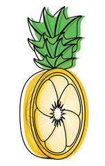 half of a pineapple fruit icon over white background, colorful design. vector illustration