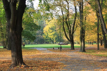 Alejka w warszawskim parku