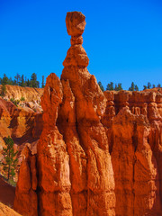 The Bryce Canyon National Park, Utah, United States