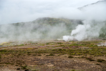 Fototapeta na wymiar View of a Meadow with Steaming Hot Springs, Haukadalur Valley, Southern Iceland