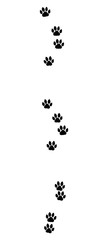 Cat tracks. Typical footprints of a domestic cat - isolated black icon vector illustration on white background.