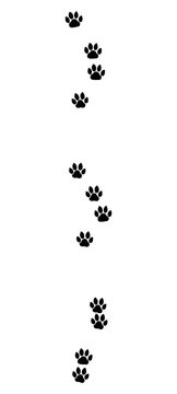 Cat tracks. Typical footprints of a domestic cat - isolated black icon vector illustration on white background.