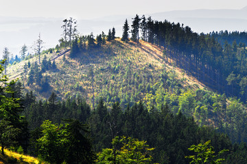 Sunny mountain landscape of Stone Mountains (Gory Kamienne) in the Sudetes, Lower Silesia, Poland. © Dariusz Leszczyński
