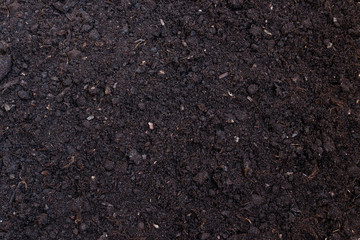 Soil texture or background seen from above, top view