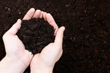 Man farmer holding soil. Earth day and ecology concept
