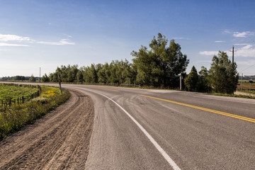 back country road drive with trees and fields