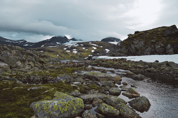 Little stream in Norway wild.