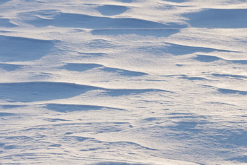 Snow background in the sunny afternoon of winter.