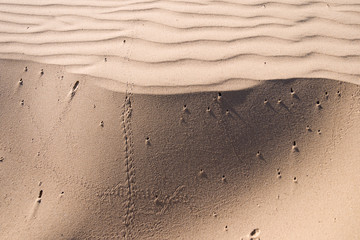 Oceano Dunes State Vehicular Recreation Area in California