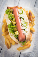 Classic american hot dog