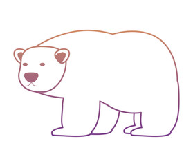 polar bear icon over white background, colorful design. vector illustration