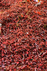 Used Firecrackers laying in pile