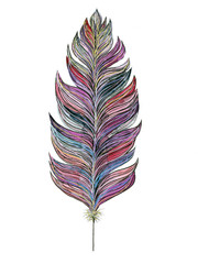 Multicolor feather boho