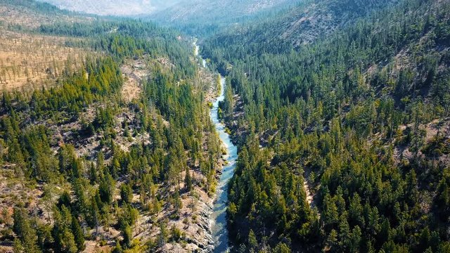 Magic Forest and river flows trough mountains in beautiful scene 4K