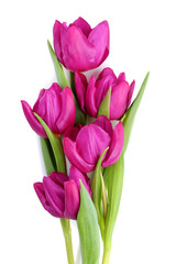 Bouquet of purple tulips isolated on white background