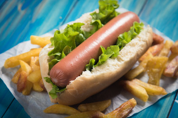 Classic american hot dog