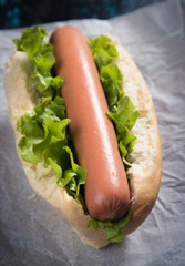 Classic american hot dog
