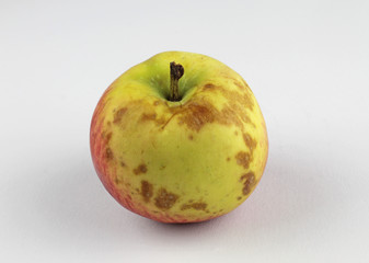 Verdorbener Apfel auf weißem Hintergrund