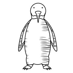 sketch of Cute penguin icon over white background, vector illustration