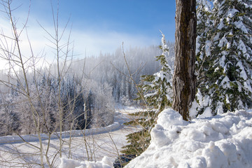 Snowy mountain ski resort. Mt. Spokane.