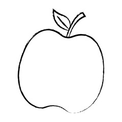 sketch of apple fruit icon over white background, vector illustration