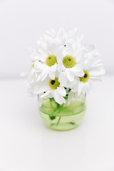 White spring flowers in vase. Minimal white background