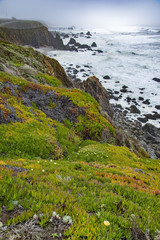 Northern California Coastline